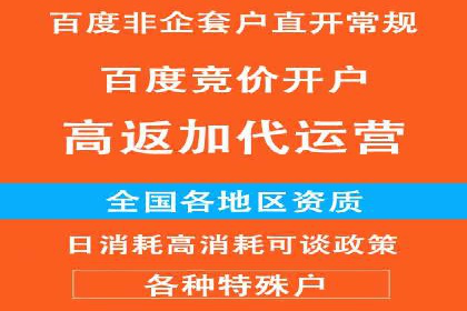 SEM托管服务助力电商平台流量翻倍的秘诀